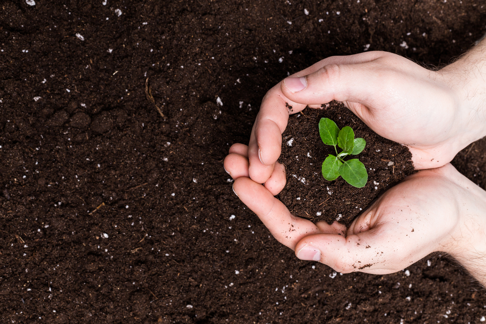 contenir plantes