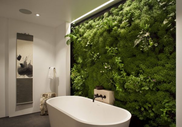 Où installer son mur végétal