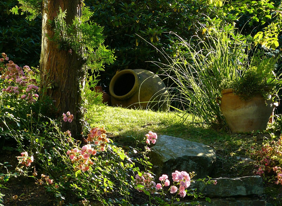 Histoire du jardin