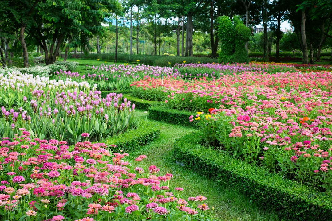 Un jardin en ville
