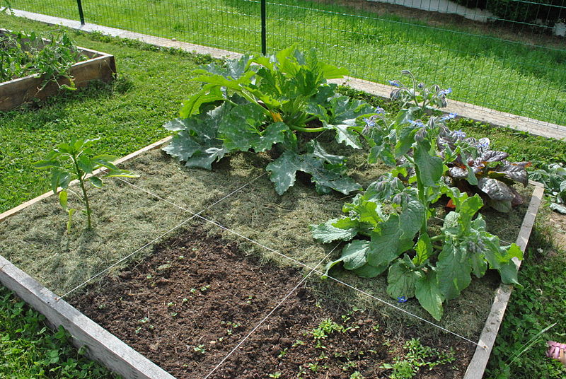 Recettes pour son potager