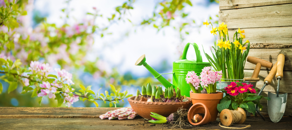 fleurir terrasse