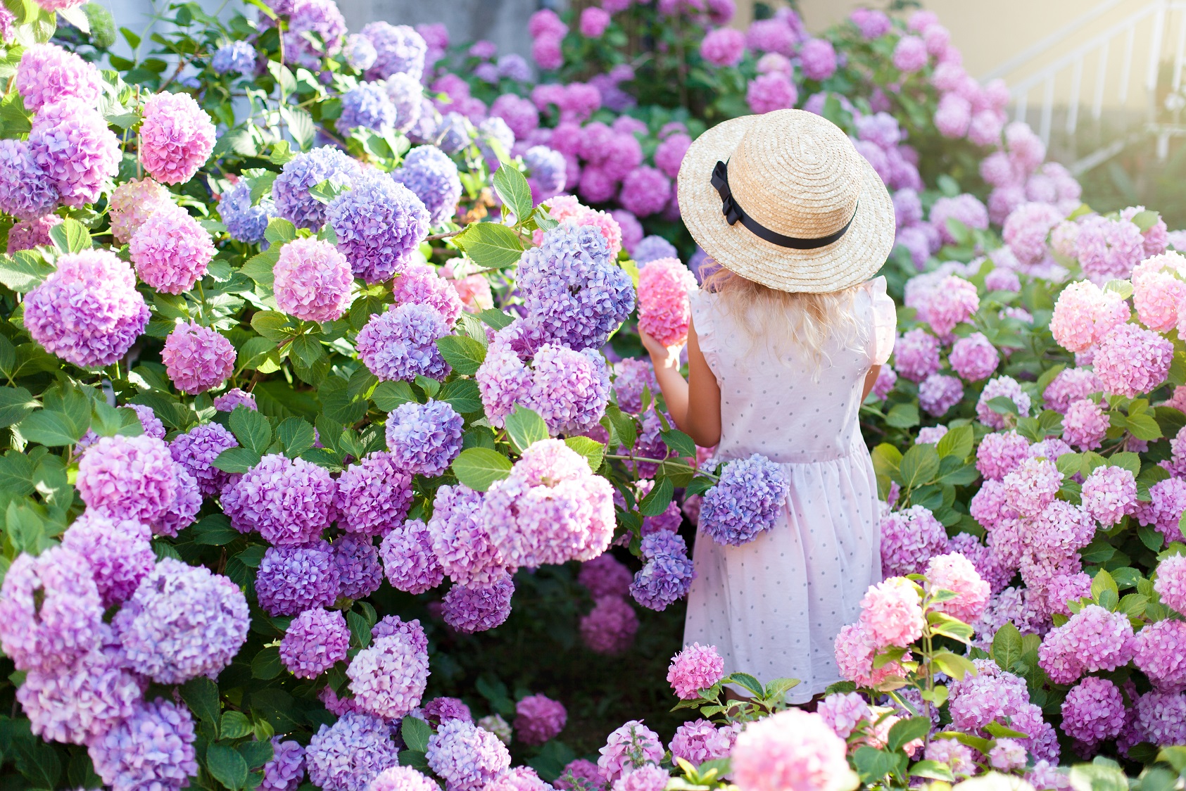 association de couleurs florales
