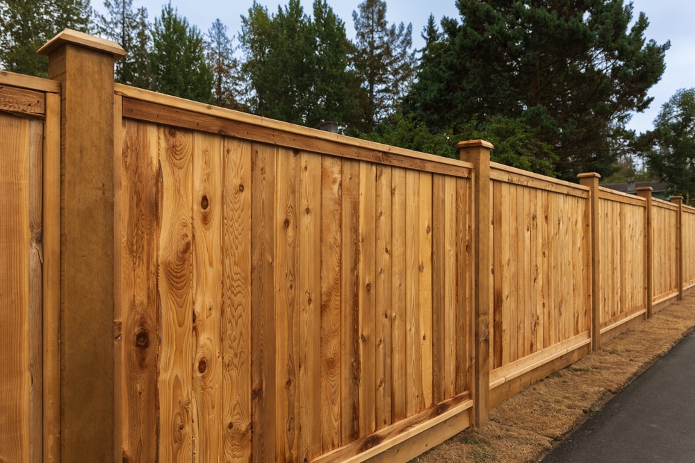 cloture en bois